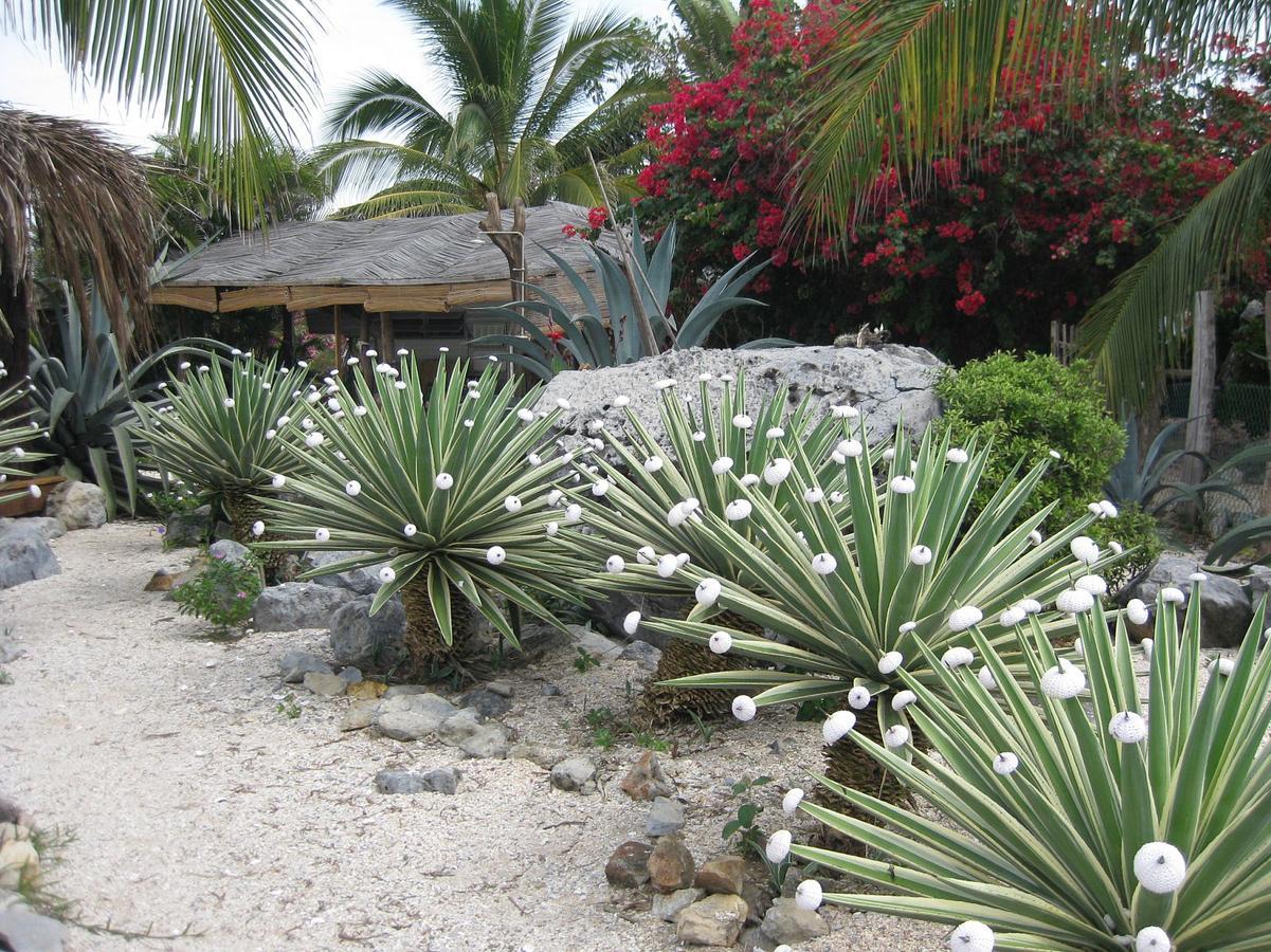 Casa Las Piedras Bed and Breakfast Troncones Esterno foto